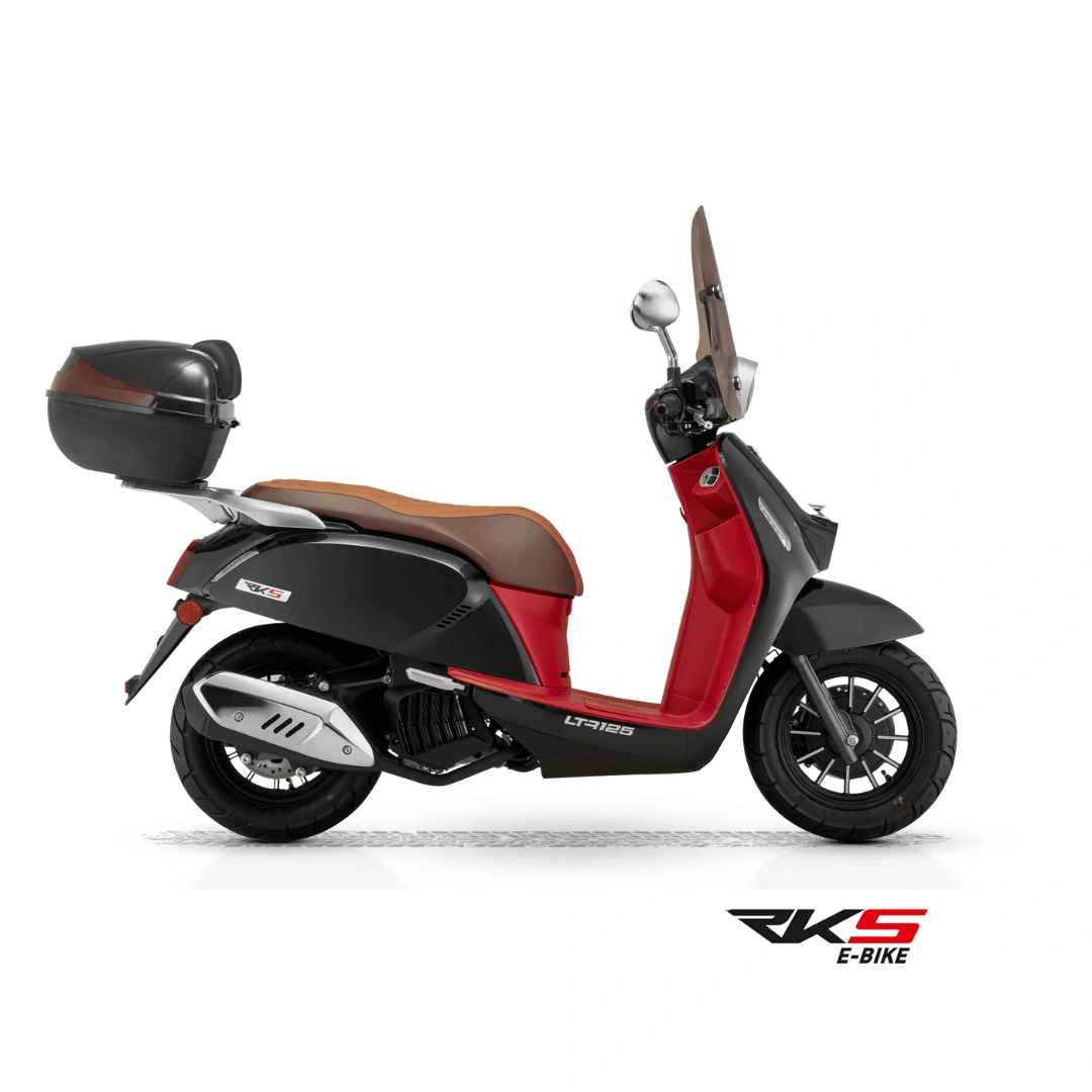 RKS Motor elektrikli araç modeli 11